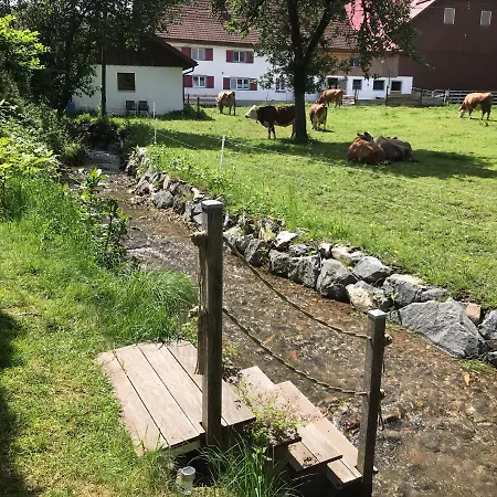 Apartament Dirndlkoenigin *